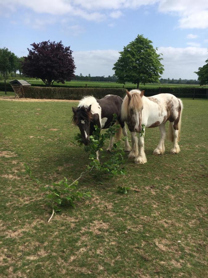 B&B En Wellness De Waalhoeve Angerlo Exteriör bild